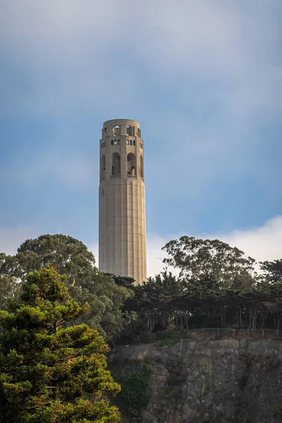 美国加利福尼亚州旧金山 2023年7月12日 位于先锋公园电报山上的Coit Memorial Tower在浅蓝色云彩景观下的夜光 底部的绿叶 — 图库照片
