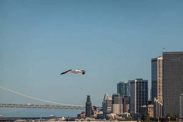 Сан Франциско Калифорния Сша Июля 2023 Года Окленд Бэй Мост — стоковое фото