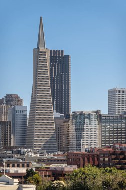 San Francisco, CA, ABD - 13 Temmuz 2023: TransAmerica Piramit Kulesi 'nin portresi mavi gökyüzü altındaki kentsel çevresine hakim. Ofisler, iş yerleri ve bazı konut binaları.