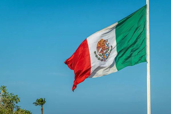 Сан Хосе Дель Кабо Сентро Мексика Июля 2023 Года Поднятие — стоковое фото