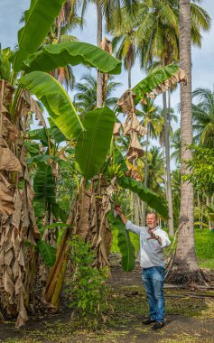 Zihuatanejo, Meksika - 18 Temmuz 2023: Parque Ecoturistico llamado La Chanequera. Bir sürü eski hindistan cevizi kaldı, çiftlikte çekim yapabilmek için.