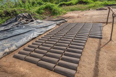 Zihuatanejo, Meksika - 18 Temmuz 2023: Tarihi Terracotta fırını. Çamurlu çatı pencereleri güneşte kurumuş kahverengi toprakla kaplanmış. Arkadaki yeşil yapraklar.