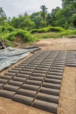 Zihuatanejo, Meksika - 18 Temmuz 2023: Tarihi Terracotta fırını. Portre, kil çatı pencereleri güneşte kurumuş kahverengi toprak üzerine uzanmış. Arkadaki yeşil yapraklar.