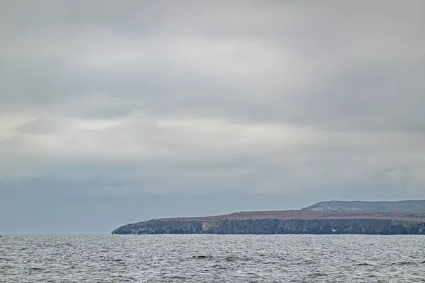 美国加利福尼亚州圣克鲁斯岛 2023年9月14日 圣佩德罗 在灰蒙蒙的天空下 在地平线上 岛屿海岸线东端的一点 灰色的悬崖和褐色的杂草覆盖 黑海豚背 — 图库照片
