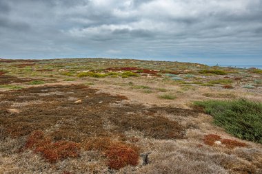 Santa Cruz Adası, CA, ABD - 14 Eylül 2023: Mağara Noktası Platosu 'nda geniş manzara kırmızı, yeşil, kahverengi ve mavimsi çizgileri gri bulutlar altında çatlak toprak yüzeyinde gösteriyor