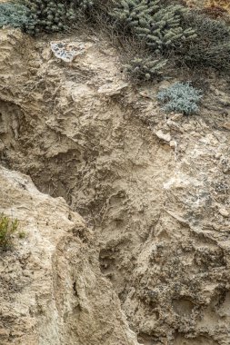 Santa Cruz Adası, CA, ABD - 14 Eylül 2023: Yakın plan, derin çatlağın her iki tarafında da yeşil bitki örtüsü olan bej kahverengi kayalar. 