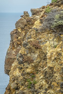 Santa Cruz Adası, CA, ABD - 14 Eylül 2023: Yeşil bitkilerle birlikte sarı kahverengi dikey kayalar. Yakın plan, Mavi okyanus ve gökyüzü