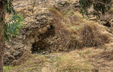 Santa Cruz Adası, CA, ABD - 14 Eylül 2023: Üst katman altında otların arkasına gizlenmiş doğal mağara. Yeşil ağaç yaprakları 