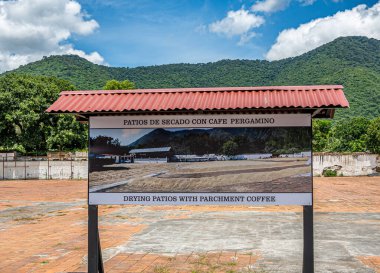 Guatemala, La Antigua - 20 Temmuz 2023 Finca La Azotea müzeleri. Kahve çekirdeği kurutma avlusu. Önünde işaret ve fotoğraf var. Mavi bulutlar altında yeşil ormanlarla kaplı dağ sırasına karşı.