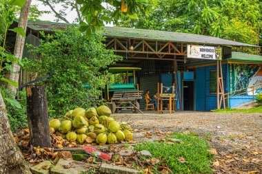 Kosta Rika, Luganillas - 22 Temmuz 2023: Tarcoles Nehri ve Timsah Köprüsü perakende şirketleri. İki adam hangar çatısı altında Canopy Tours 'u tanıtıyor. Hindistan cevizi ve yeşil yapraklar yığını.