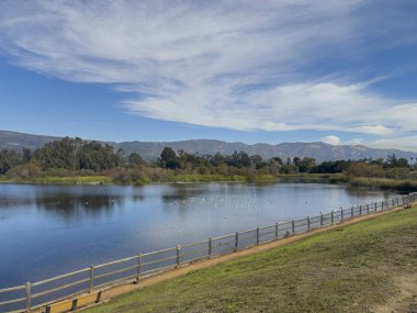Goleta, CA, USA - 27 Aralık 2023 Los Carneros Gölü Parkı. Baraj gölü, Santa Inez sıradağlarına NE 'nin bakış açısıdır. Sudaki kuşlar ve ördekler. Yeşil ağaçlar ve mavi bulutlar