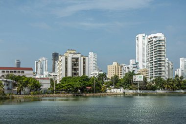 Cartagena, Kolombiya - 25 Temmuz 2023: Merkez Bocagrande. El Laguito 'nun NE tarafındaki beyaz apartman kuleleri diğer binalarla birlikte yeşilimsi su ve yapraklarla kaplı.