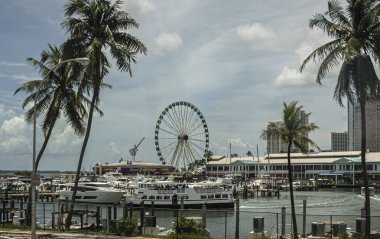 Miami, Florida, ABD - 29 Temmuz 2023: yat limanı ve Hard Rock Cafe 'nin arkasındaki dönme dolap. Yanaşmış gemiler ve ön tarafta bir tur botu. Yeşil palmiye ağaçları ve diğer restoran işletmeleri