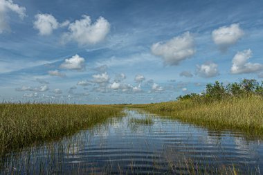 Everglades, Florida, ABD - 29 Temmuz 2023: Geniş bir manzara, nehir, mavi bulutların altındaki kamış dolu bataklıkta ufuk çizgisine uzanıyor, suya yansıtılıyor.