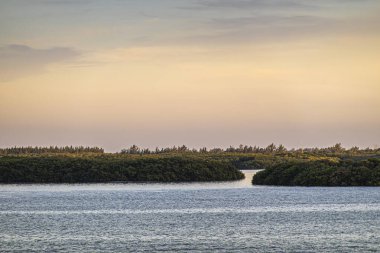 Miami, Florida, ABD - 29 Temmuz 2023 Virginia Key Adası NW tarafı. Günbatımının altında yeşil kıyı şeridinden atık su arıtma tesisine uzanan kanal gökyüzünü aydınlattı.