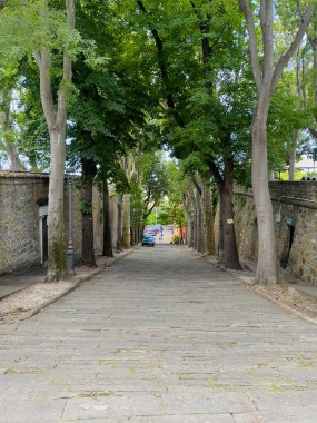 Trieste, İtalya - 27 Haziran 2024 Via della Cattedrale, Katedral 'in girişinden görüldü. Her iki tarafında ağaçlar olan yokuş aşağı