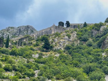 Kotor, Karadağ - 2 Temmuz 2024: Şehrin yukarısındaki yeşil dağdaki tarihi kaleler veya kaleler mavi bulutlar altında