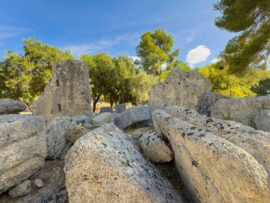 Olympia, Yunanistan - 4 Temmuz 2024: Olimpiyat Oyunlarının doğduğu yer. Zeus Tapınağı 'nın SE köşesindeki taşlar tarlasında. Yeşil yapraklar ve mavi gökyüzü