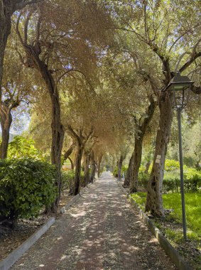 Taormina, Sicilya, İtalya - 5 Temmuz 2024: Şehir merkezindeki Halk Bahçesi 'nde uzun bir yol