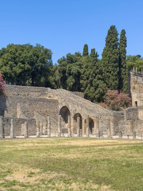 Pompeii, Campania, İtalya - 6 Temmuz 2024: Antik Roma şehri kalıntıları. Geçmişte harap olmuş sütunlar ve merdivenler Teatro 'ya kadar, uzun yeşil ağaçlı tiyatrolar mavi gökyüzünün altında