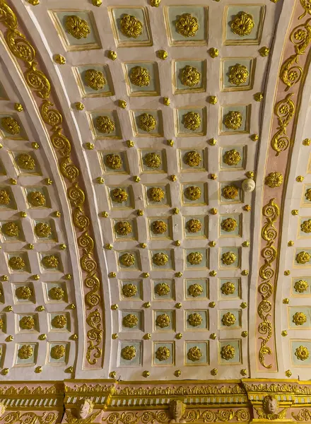 Ajaccio, Korsika, Fransa 8 Temmuz 2024: Katedral Notre-Dame de l 'Assomption, tavanda altın çiçeklerden oluşan kare şebeke