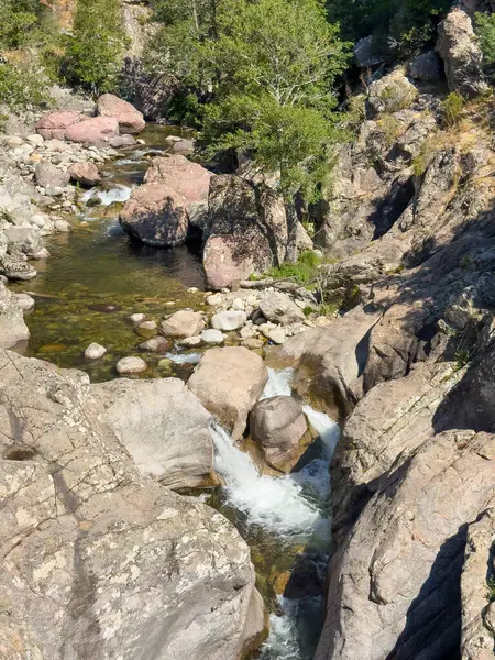 Gorges du Prenelli, Korsika, Fransa - 8 Temmuz 2024: D3 yolu nehri geçer. Havuz ve hızlı yakın çekim. Çevresinde yeşil yapraklar olan gri kayalık bir ortam
