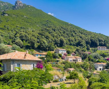 Ocana, Korsika, Fransa - 8 Temmuz 2024: Yeşil dağ manzarası. Bahçesinde tek aile evleri olan yeni bir mahalle.