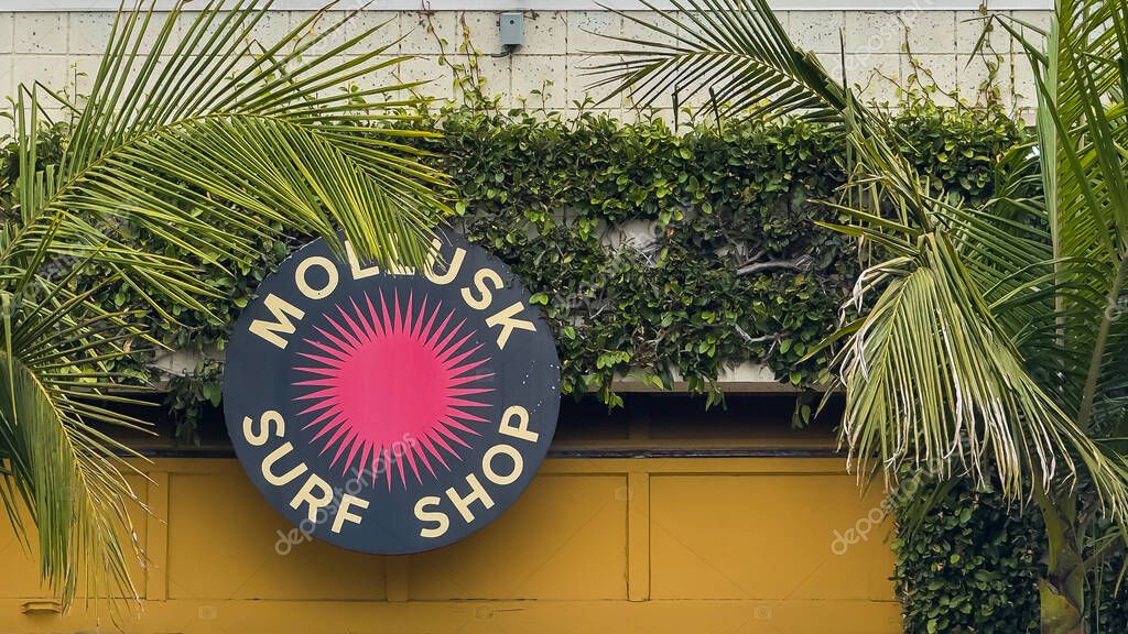 Santa Barbara, California, USA - May 17, 2025: the Funk Zone. Molusk Surf Shop logo, pink sun, backed by green foliage