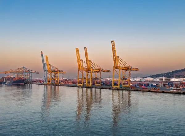 Barselona, İspanya - 11 Temmuz 2024: APM konteynır terminali sabah güneşinin altında dev vinçleri ve konteyner kutuları ile limanda