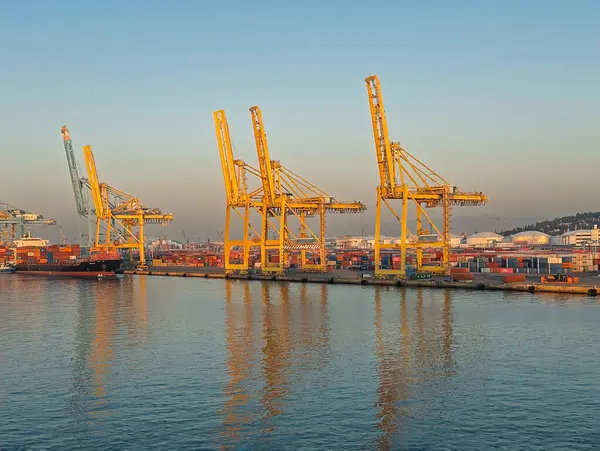 Barselona, İspanya - 11 Temmuz 2024: APM konteyner terminali, sabah güneşinin altında dev vinçleri ve konteyner kutuları ile limana kenetlendi