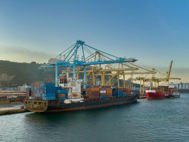 Barcelona, İspanya - 11 Temmuz 2024: Odysseus Monrovia konteyner gemisi terminalde ve vinçler tarafından üzerinde çalışılıyor