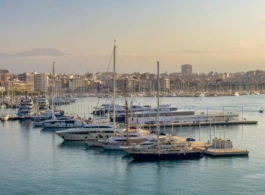 Palma de Mallorca, İspanya - 12 Temmuz 2024: Sahil yolunun arkasındaki yat limanı ve şehir manzarası