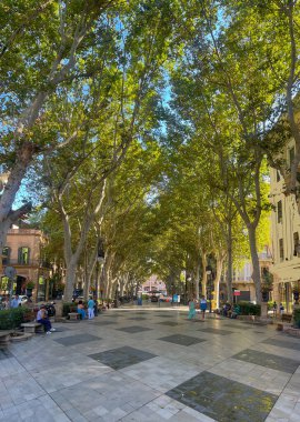 Palma de Mallorca, İspanya - 12 Temmuz 2024: Placa de la Reina 'dan kuzeye Pg' e bakıyor. Del doğumlu alışveriş yolu,