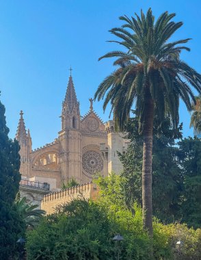 Palma de Mallorca, İspanya - 12 Temmuz 2024: Placa de la Reine parkından olmasına rağmen katedral ön cephesi ve kule senn