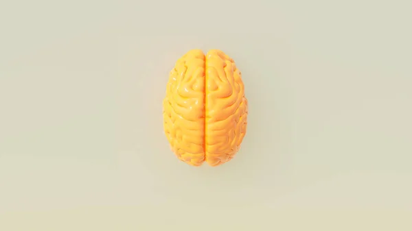 Amarelo Laranja Humano Cérebro Capa Arte Inteligência Mente Conceito Quente — Fotografia de Stock