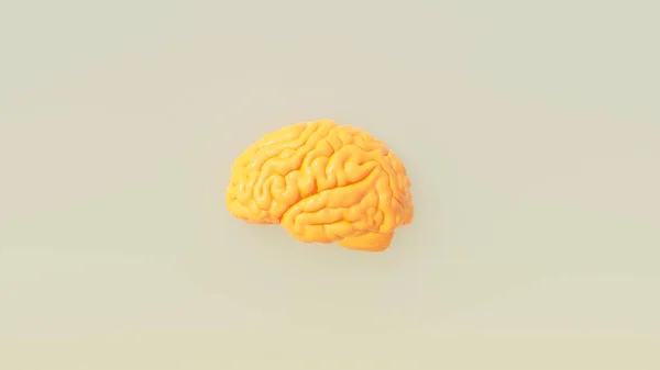 Amarillo Naranja Cerebro Humano Portada Obras Arte Inteligencia Concepto Cálido — Foto de Stock