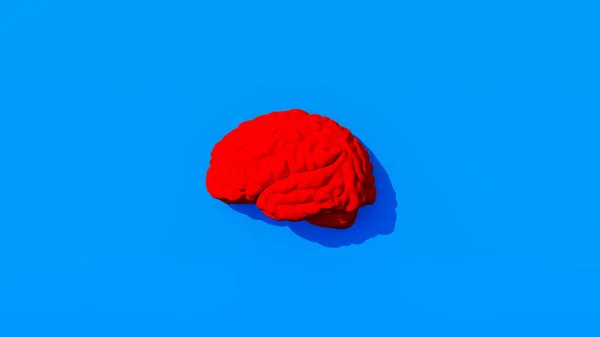 明亮的红色人脑生动的蓝色背景医学精神智力测验3D图解 — 图库照片