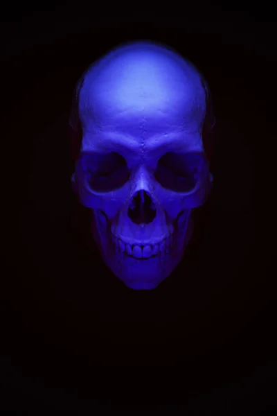 Purple Skull Soft Focus Fundo Neon Vaporwave Estética Retro Ficção — Fotografia de Stock