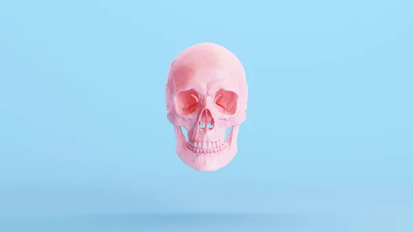 Mascella Del Cranio Rosa Morbido Pastello Gen Sfondo Blu Illustrazione — Foto Stock