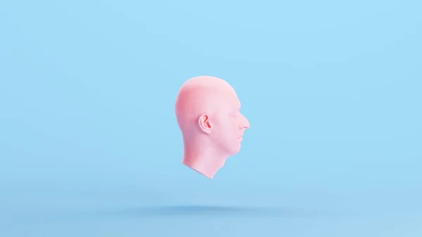해부학적 Ecorche Human Head Musculature Sculpture Profile Blue Kitsch Background — 스톡 사진