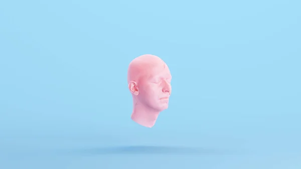 ピンクの解剖学的Ecorche人間の頭部医療文化彫刻プロファイルモデルブルーキッチュ背景4分の1右図3Dイラストレンダリングデジタルレンダリング — ストック写真