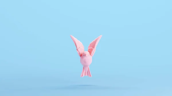 Kis Rózsaszín Madár Plump Fluff Wings Tail Stílusos Trendi Giccs — Stock Fotó