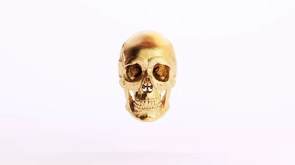Golden Skull Human Jaw Art Richesse Blanc Fond Illustration Rendre — Photo
