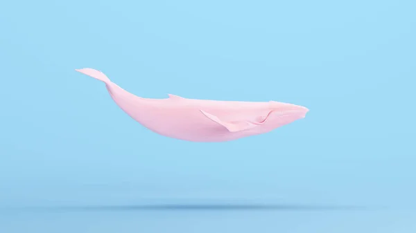 Розовый Кит Большой Горбатый Кит Gen Blue Kitsch Фон Иллюстрации — стоковое фото