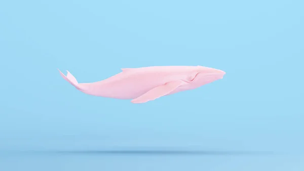 Рожевий Кит Великий Горбатий Кит Gen Blue Kitsch Фон Ілюстрація — стокове фото