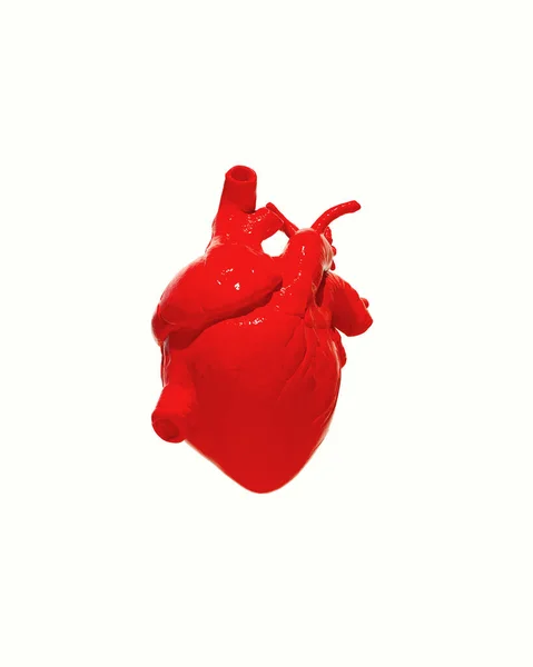 Vermelho Coração Humano Anatômico Branco Fundo Brilhante Sangue Molhado Órgão — Fotografia de Stock