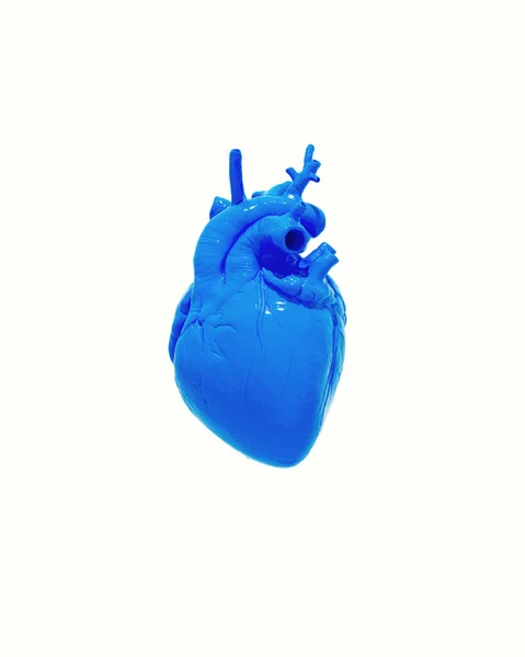 Blue Human Heart Анатомический Белый Фон Блестящая Влажная Кровь Орган — стоковое фото