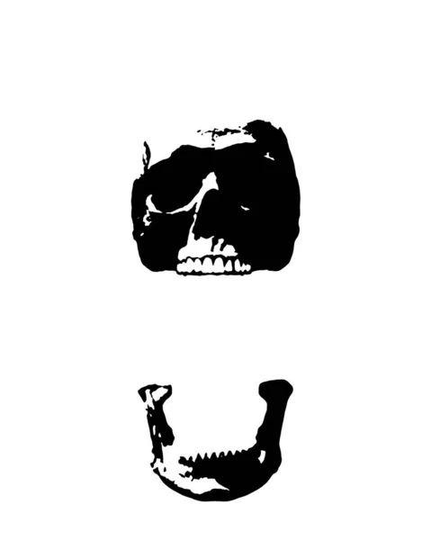 Білий Чорний Череп Щелепа Відкриті Зуби Панк Стиль Друк Символ — стокове фото