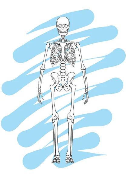 Skeleton Line Drawing Spaceman Hand Drawn Blue Splash Graphic Retro — Stock Photo, Image