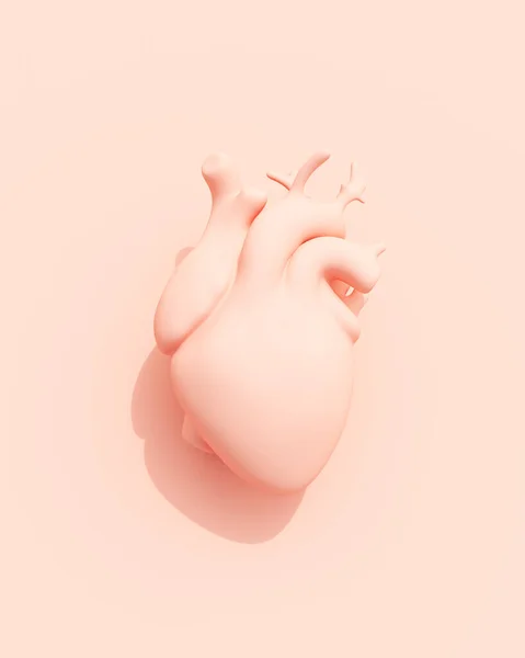 Pêssego Coração Humano Rosa Rosa Pastel Anatomia Símbolo Ilustração Fundo — Fotografia de Stock